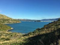 Otago Harbour from Tairoa Head