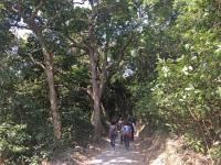 Path to Lai Chi Wo village