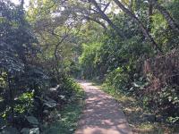 Path up from Trappist monastery to Mui Wo