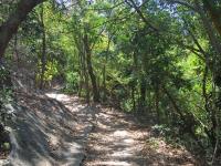 Shek Kip Mei hill path