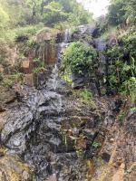 Waterfall (dry), Harlech Road