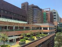 Hong Kong University