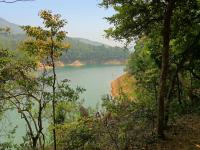 First view of Shing Mun Reservoir