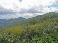 Along link path to Maclehose trail