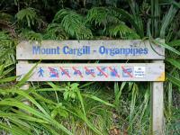 Mount Cargill Organ Pipes