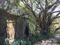 Derelict cottages on path to Luk Keng