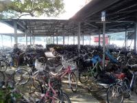 Mui Wo ferry terminal bike park